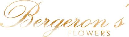 We did not find results for: Springfield Florist Flower Delivery By Bergerons Flowers