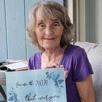 Vicki Lorraine Bertoldi Obituary (2025)