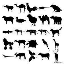 Pin On Set Of Animals