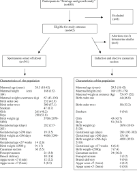 flow chart characteristics and outcome of the study