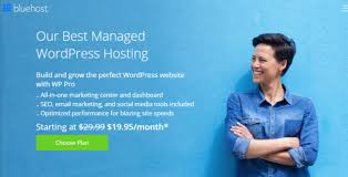 Bluehost Ecommerce Hosting Review 2019 The Best Value In Hosting In 2020 Bluehost Social Media Tool Hosting