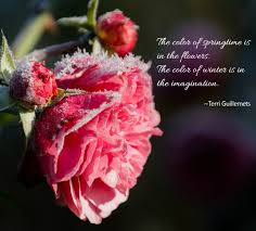 We hope you'll love our collection of flower quotes! Gardening Quotes And Inspirational Sayings