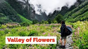 Valley of flowers national park is an indian national park, located in north chamoli and pithoragarh, in the state of uttarakhand and is kno. Valley Of Flowers Trek Uttarakhand Heaven On Earth Youtube