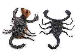 Amazon Com Black Scorpion Dog Costume Realistic Creepy