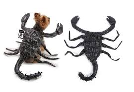 amazon com black scorpion dog costume realistic creepy