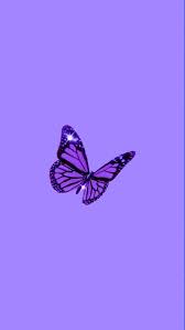 Pin By Cristina Binns On Iphone Background Butterfly Wallpaper Iphone Purple Wallpaper Iphone Aesthetic Iphone Wallpaper Tons of awesome aesthetic for iphone wallpapers to download for free. purple wallpaper iphone