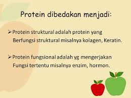 Protein adalah polimer alami yang memainkan peran penting dalam proses kehidupan. Katabolisme Protein Dan Lipid Ppt Download