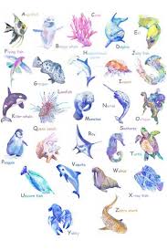 Ocean Alphabet Abc Animals Watercolor A Z Letters For Nursery Etsy Watercolor Ocean Alphabet Nursery Art Alphabet Poster