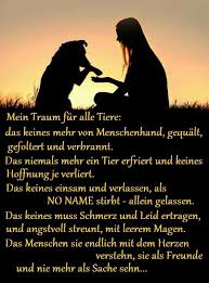 Pin Von Roswitha Lich Auf Spruche Hundespruche Spruche Tiere Zitate Tiere