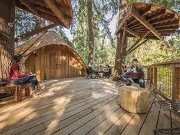 In fact, companies such as google and zappos are installing nap pods so employees can rest and rejuvenate during the workday. Microsoft S Tree House Google S Nap Pods Perks Offered By New Age Cos To Break The Monotony Perks Recreation On The Job The Economic Times