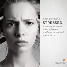 Perfect 10 Nail & Body Studio Middelburg Mall