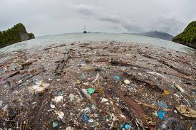 The microplastics of the great pacific garbage patch can simply make the water look like a cloudy soup. What Is The Great Pacific Garbage Patch