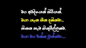 We did not find results for: Sinhala Funny Whatsapp Status Sinhala Wadan From The Ground
