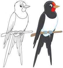 martin illustration art drawings for kids bird coloring pages projects coloriage star wars doodle
