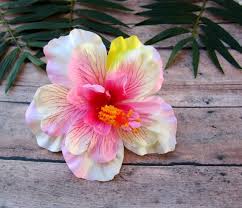 5 out of 5 stars. Hibiscus Hair Clip Wedding Flowers Tropical Flower Accessory Pink Hibiscus Hair Clip Pink Hibiscus Silk Flowers Hair Accessories Accessories Valresa Com