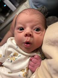 I know it's early but what are some Christmas gift ideas for six month  olds? Figured we would get a few toys, definitely not going overboard at  this age. Thanks 🎄🎄