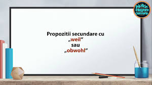 Ei, ai văzut că se poate? Propozitii Secundare Cu Weil Sau Obwohl Ajutor Integrare Germania