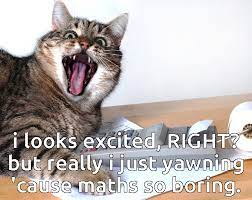 Funny Cats Hilarious Cats On Internetz Image 2979302 On Favim Com
