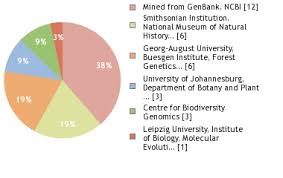 Image result for Paropsia brazzeana