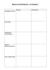 Evolution Vergleich Schimpanse Mensch 4teachers De