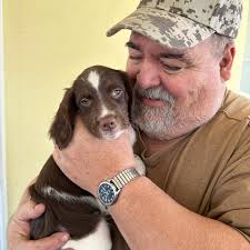 Announcing!!!** **Spoon River Bird Dog Training and Hunt Club** A  year-round training area, five miles west of Princeville, Illinois,  maintained for bird dogs with upland bird hunting privileges. This is a  private,
