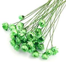 A key characteristic of the proteaceae family is that flower heads are made up of a number of small flowers. 100 Stems Natural Dry Flowers Brazilian Small Star Daisy Decorative Dried Flowers Mini Daisy Chamomile Bouquet For Wedding Floral Arrangements Home Decorations Green Artificial Flowers Amazon Com Au