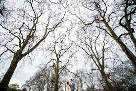 Foto prewedding pohon karetan : 37 Ide Prewed Hutan Bambu Fotografi Foto Perkawinan Perkawinan