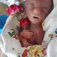 Dani Marie Nelson (@fallenfirechild) • Instagram photos and videos