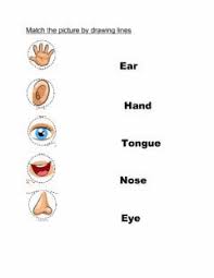 sens organs language english grade level pre primary school subject envi fun worksheets for kids kindergarten science activities english worksheets for kids