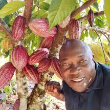 You are welcome to the mighty farmers family at Cocoa Avenue 💞💞 Keng  Roger, Teddy Suan, Iqmot Kewuyemi, Suku Guari, Mark K Ngafua, Desmond Jack,  Justine Kpahn, Scott Mara, Cocoa for sell