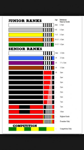 Waiting for a year to get a promotion is a long time, even for adults. Bjj Academy In Texas Promotes Children To Junior Bjj Black Belt Rank