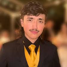 The 10 Best Caricaturists in Campbell, CA (with Free Estimates)