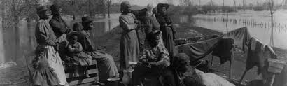 Populations are established by the successful colonizers that survive and reproduce. Colonization The African American Mosaic Exhibition Exhibitions Library Of Congress