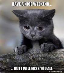 Have A Nice Weekend But I Will Miss You All Confession Cat Make A Meme