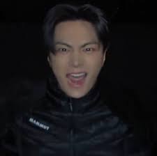 enhypen in your life