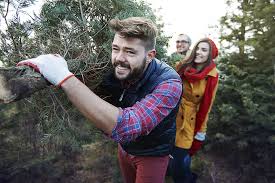 You'll be spoilt for choice when you look at the walnut tree farm menus. Cut Your Own Christmas Tree From Tree Farms In Eugene Or