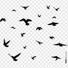 Pin By Png Drive On Birds Png Image Bird Silhouette Art Flying Bird Vector Dove Pictures