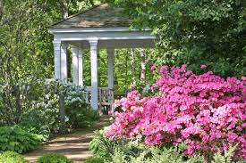 Since 1972, the owners of pine island nursery have provided the best selection of trees in the south florida area. 16 Best Native Plants For Southern Gardens