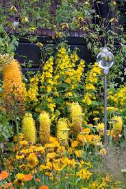 yellow and orange color theme garden with glass globe ornament gold color theme plantings flower stock photography planting flowers spring flowering bulbs