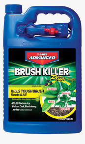Bed bug killer, stink bug killer, ant killer, tick killer, flea killer, mosquito killer, fly killer, and over 65 more insects. Bayer Bed Bug Killer Hd Png Download Kindpng