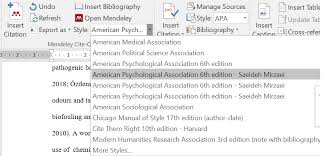 How Can I Recall A Modified Citation Style In Mendeley With The Name I Entered