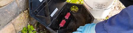 Could do with pest control services in myrtle beach, sc? Pest Elimination Services Myrtle Beach Pest Control Company In Sc