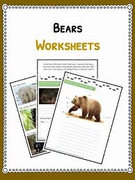 As your child grows, he will be exposed to wild and domestic animals through. Grizzly Bear Facts Information Worksheets For Kids