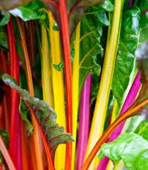 Walmart Vie Exterieure Organic Seeds Chard Planting Vegetables