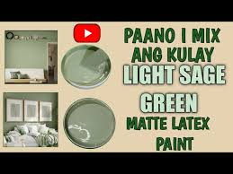 Mix Light Sage Green Matte Latex Paint