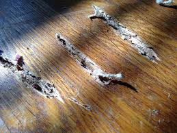 Wood Filler Tips Epoxy Wood Filler Hardwood Floors Mn Wood Floor Repair Hardwood Floor Repair Wood Repair