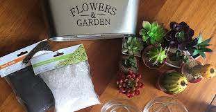 This faux succulent idea will make a cute extra decor item in your home! Diy Mini Succulent Planters Terrariums Dollar Tree