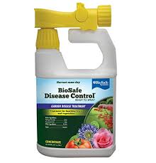 Of spray concentration per 100 sq. Biosafe Disease Control Concentrate 32 Oz Organic Fungicide Bactericide Ready To Spray With Hose End Sprayer Buy Online In Bahamas At Bahamas Desertcart Com Productid 7839442