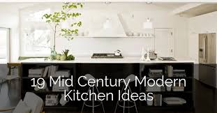 19 mid century modern kitchen ideas