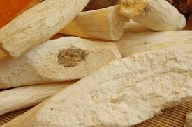 Image result for Synaptolepis